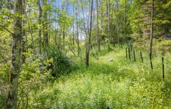 616 Enid Road, Summit, NY 12175