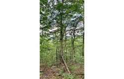 Noble Hill Rd, Pleasant City, OH 43772