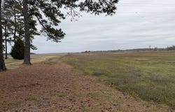Nc 99, Pantego, NC 27860