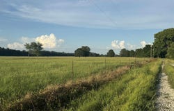 BAR-K-RD, Oak Grove, LA 71263