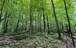 LOT 9 STACEYWOOD CIRCLE, CUSTER TWP, MI 49615