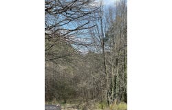 98 Pine Shadows Drive, Dallas, GA 30157