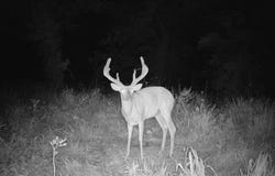 12071 SE Texas Rd, Kincaid, KS 66039