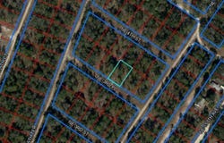 NE 3RD PLACE, WILLISTON, FL 32696