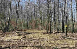 Parcel C Honey Hollow Road, Bellaire, MI 49615