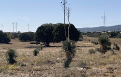 Silver City, NM 88061