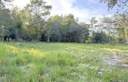 NE 50TH Place, WILLISTON, FL 32696