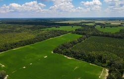 5018 OLD U S ROAD, Marianna, FL 32446