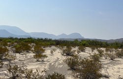 TR: C80 Rainbow Hawk Rd, Terlingua, TX 79852