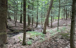 Winton Road, Columbus, NY 13460