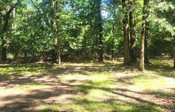 339 Eastern Hills Dr, Jefferson, TX 75657