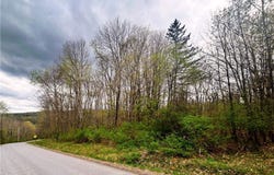 Sisson Hill Rd, Unadilla, NY 13849