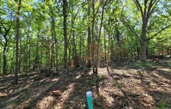 11111 Tall Oaks, Pittsburg, MO 65724