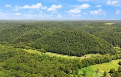 0 Patties Lick Road, Morehead, KY 40351