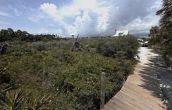 TBD Boyne Rd, Cape San Blas, FL 32456