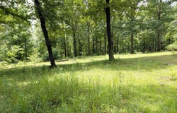 141 PROSPERITY LANE, WARRIOR, AL 35180