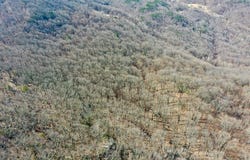 Fancy Gap Highway, Fancy Gap, VA 24328