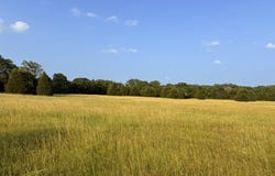 CR 2501, Eustace, TX 75124