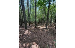 Hillis Cemetary Rd, Spencer, TN 38585