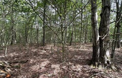 Lehigh River Ct, Gouldsboro, PA 18424