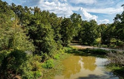 Tbd 168 Deer Valley Drive, Powderly, TX 75473