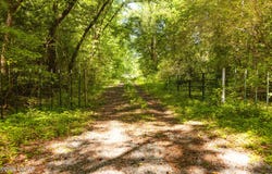 Beech Bluff Road, Beech Bluff, TN 38313