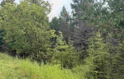 TBD County 503 CC, Rapid River, MI 49878