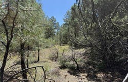 124 Susan's Place, Pagosa Springs, CO 81147