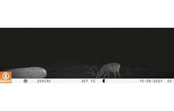 163 CR 402, Lindrith, NM 87029