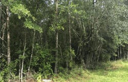 33 Kameron Drive, Monticello, FL 32344