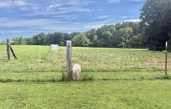 961 Flat Woods Road, Timberlake, NC 27583