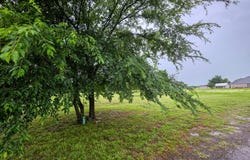 101 Mony St, Shady Point, OK 74956