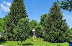 46 Larkspur Lane, Canton, NC 28716