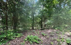 Tbd Bluebird Lane, Rolla, MO 65401