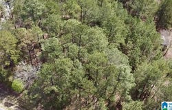 11490 HIGHWAY 55 lot: 1Ab, WESTOVER, AL 35147