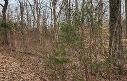 Saddletree Rd, CAMDEN, TN 38320