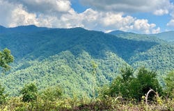 Grapevine Road, Marshall, NC 28753