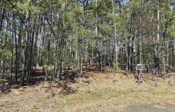 Hot Springs Village, AR 71909