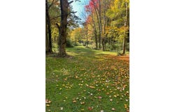 11897 SILVERTHORN (TR 86 RT T438) Road, Edinboro, PA 16412