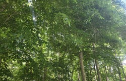 863 JEFFERSON DR, Palmyra, VA 22963