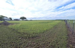 County Rd 70 lot: 8, Bishop, TX 78343