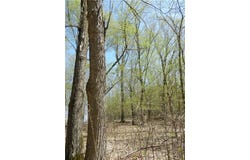 2816 120th Avenue, Two Rivers Twp, MN 56314