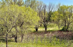 Xxx US-71, Little Sauk Twp, MN 56378