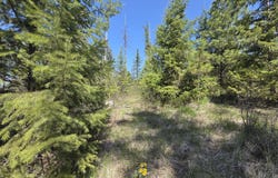 2593 BURNT VALLEY RD, CHEWELAH, WA 99109