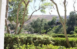 25 Thorp Spring, Ladera Ranch, CA 92694