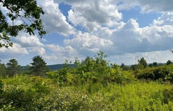 VL White Creek Road, Friendship, NY 14739
