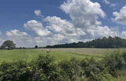 TBD CR 3925, Mt Pleasant, TX 75455
