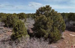 Lot 1 Road J.7, Egnar, CO 81325