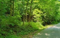 888 Hazel Patch Road, East Bernstadt, KY 40729