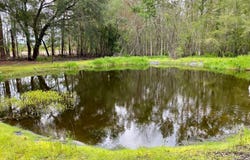 3547 NW CR 150, Jasper, FL 32052